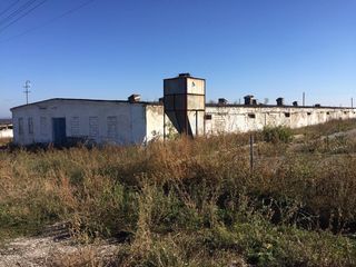 Dam in chirie fabrica de pasari din or Drochia, pe terenul careia se afla spatii pentru producere, foto 1