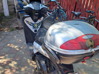 Honda SH 150i foto 4