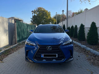 Lexus NX Series foto 4