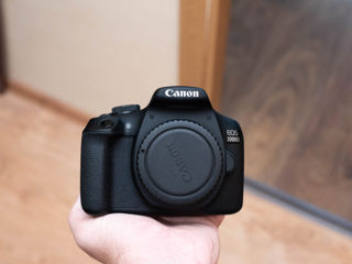 Canon 2000D Kit (1600 de cadre) foto 2