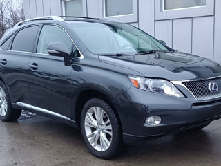 Lexus RX Series