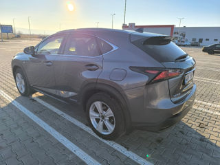 Lexus NX Series foto 5