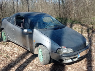 Opel Tigra foto 3