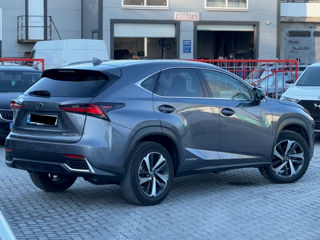 Lexus NX Series foto 3