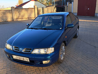 Nissan Primera foto 2