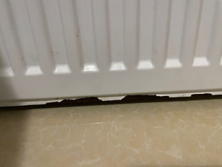 Vand Calofirer/Radiator foto 3