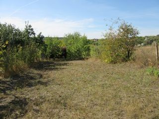 Lângă castelul Stati. Casă capitală, fântână, lot 12 ari. Suburbia apropiată a Chișinăului foto 4