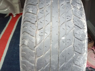 265х65х17  Dunlop  4  Ската 1300 лей foto 1