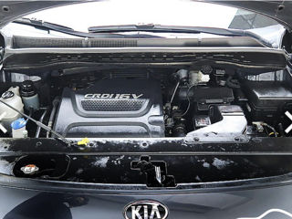 KIA Carnival foto 7