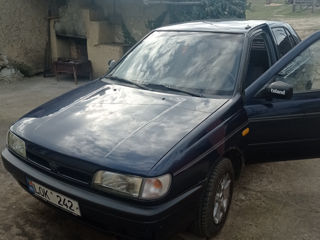 Nissan Sunny foto 3