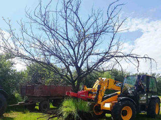 Корчеватель деревьев Щипцы для JCB - в наличии foto 2