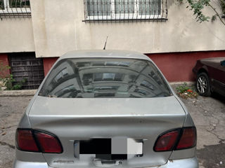 Nissan Primera