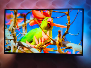 Smart TV Philips 43PUS8545 Ambilight foto 2