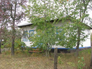 Se vinde casa in Tarigrad (Glavan) , raionul Drochia. Продается дом в Цариграде, Дрокиевский район. foto 1