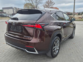 Lexus NX Series foto 4