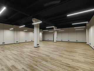 Vînzare spațiu comercial open-space, suprafața de 175.9m2  la Artima Business & Lifestyle! foto 13