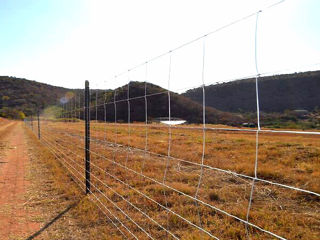 Gard din plasă innodată zincată.сетка шарнирная foto 7