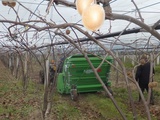 Tocător de biomasă cobra collina foto 3