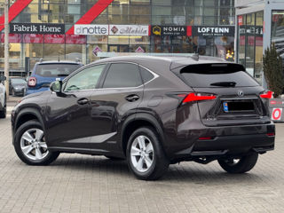 Lexus NX Series foto 5