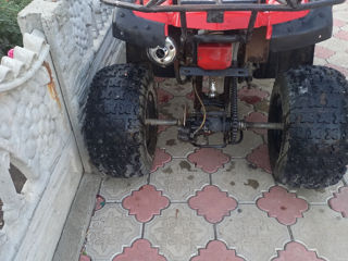 Viper Atv foto 3