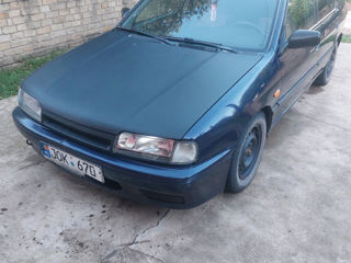 Nissan Primera foto 2