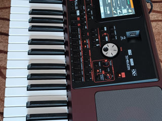 Korg pa 1000 foto 6