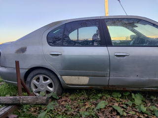 Nissan Primera foto 4