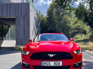 Ford Mustang foto 7