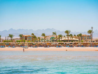 Hurghada! "Movenpick Waterpark Resort & Spa Soma Bay" 5*! foto 3