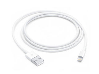 Lighting to USB Apple Original Cable [100%]