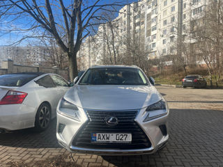 Lexus NX Series foto 9