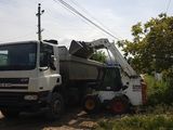 Bobcat  si Самасвал foto 10