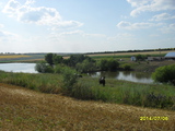 ферма + озеро+ 3 г, земли, foto 6