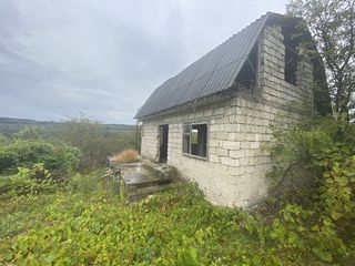 Pădure, zonă ecologică! Cedez foarte bine! foto 4