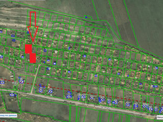 Продам дачный участок в sat.Botnarești Noi, r-ul Anenii Noi. 30 км от Кишинёва по шикарной дороге! foto 4