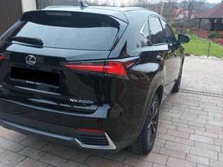 Lexus NX Series foto 15