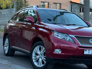 Lexus RX Series