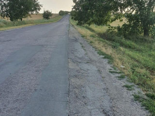 Teren Orhei - 2 ha, prima linie, la traseu foto 10