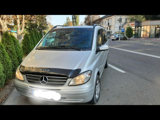 Mercedes Viano