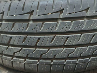 Firestone 195/50 R16 foto 3