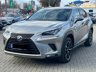 Lexus NX Series