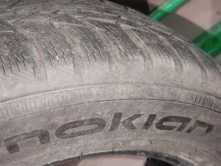 215/60 R16 Hankook,Nokian foto 9