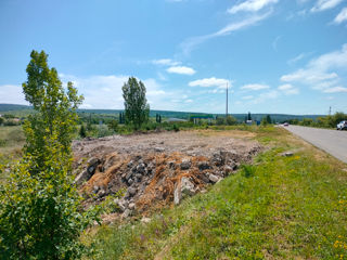 Vând terenuri agricole