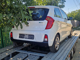 KIA Picanto foto 8