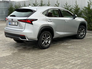 Lexus NX Series foto 7