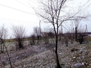 Teren de pamint 2.37ha linga traseul Balti-Chisinau la rascrucea spre s.Tambula foto 5