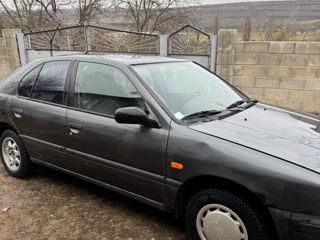 Nissan Primera foto 5