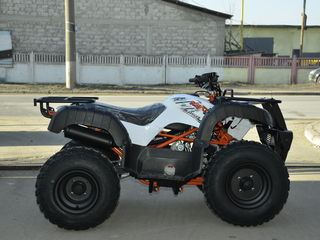 Kayo Bull 150 new 2021 foto 7