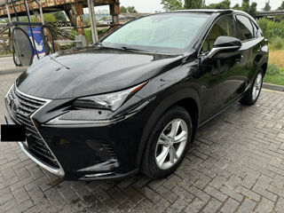 Lexus NX Series