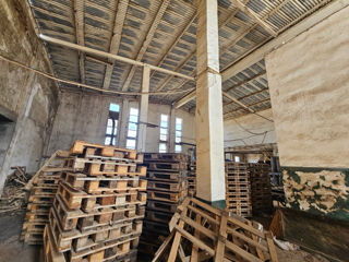 De vânzare hală de producție cu teren și locuință în Vaslui, Muntenii de Jos!  foto 2